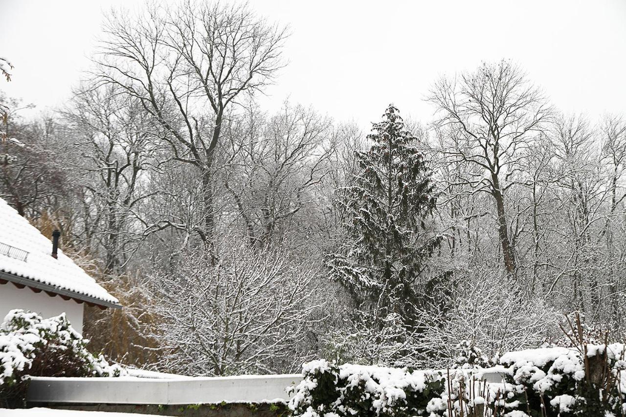 Haus Mit Kunst Zwischen Wald Und See Leipzig Extérieur photo