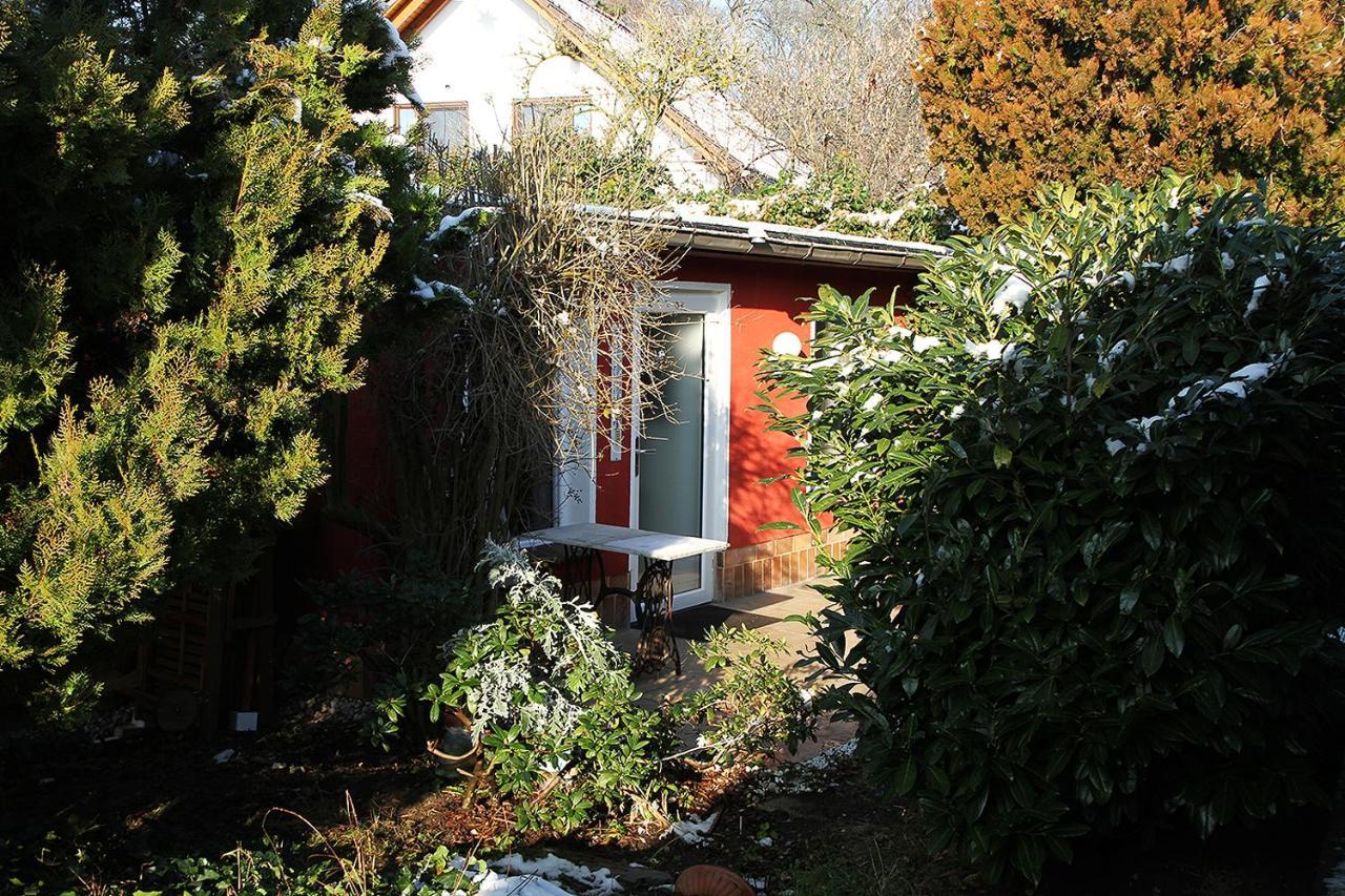 Haus Mit Kunst Zwischen Wald Und See Leipzig Extérieur photo