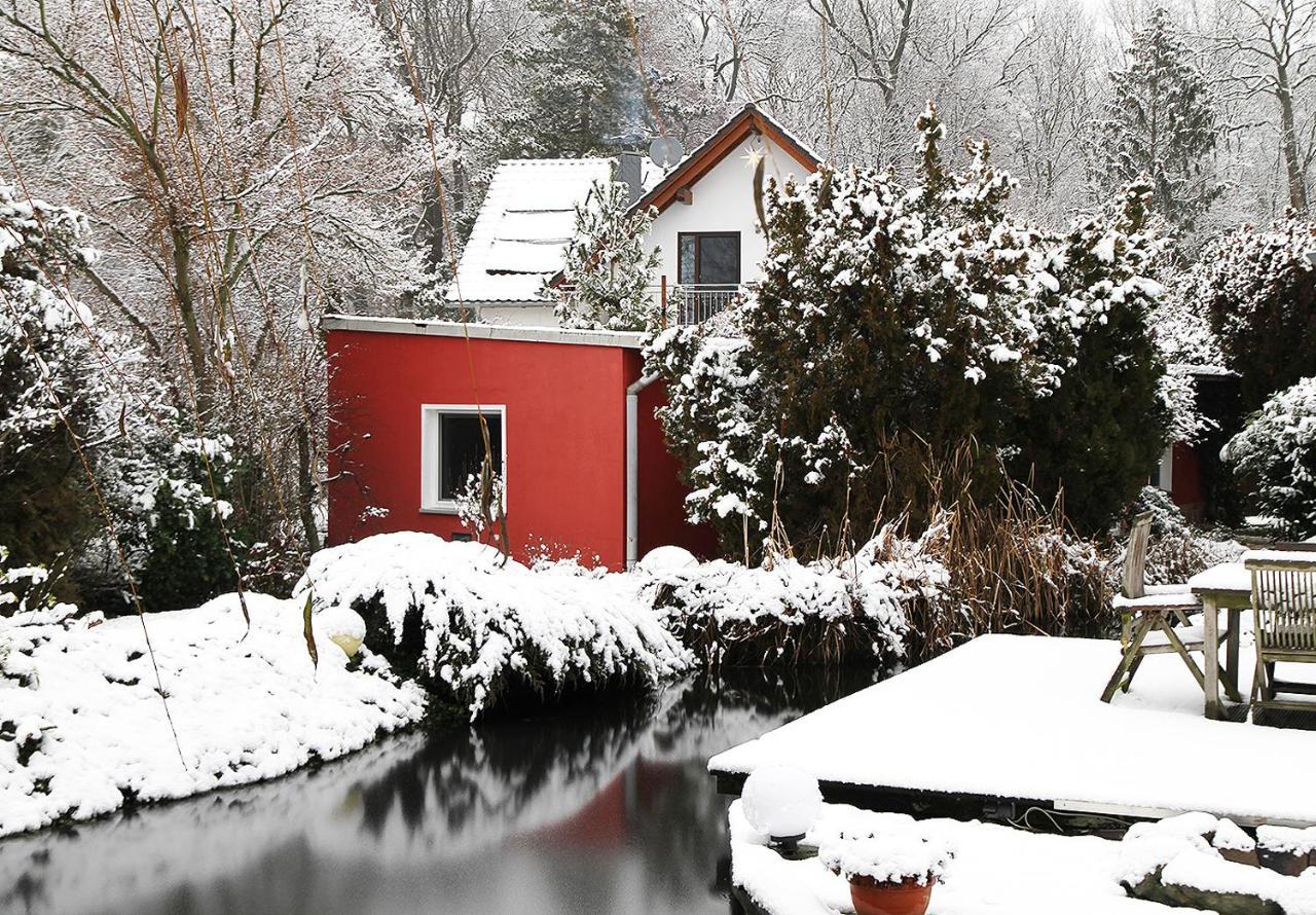 Haus Mit Kunst Zwischen Wald Und See Leipzig Extérieur photo